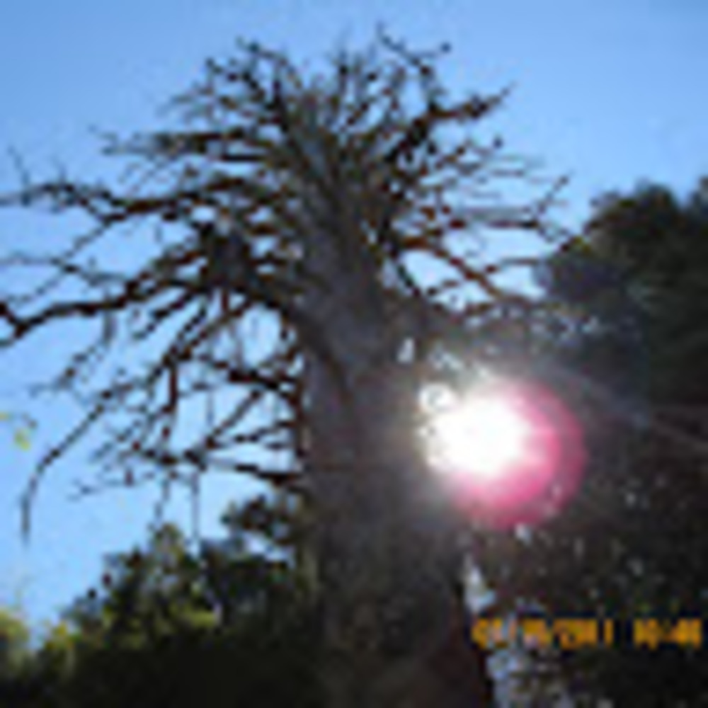 Meet your Posher, Tuan